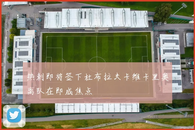 热刺即将签下杜布拉夫卡维卡里奥离队在即成焦点