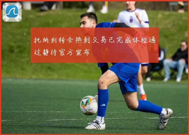 托纳利转会热刺交易已完成体检通过静待官方宣布
