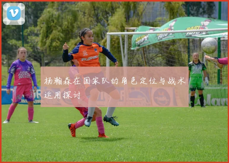 杨瀚森在国家队的角色定位与战术运用探讨